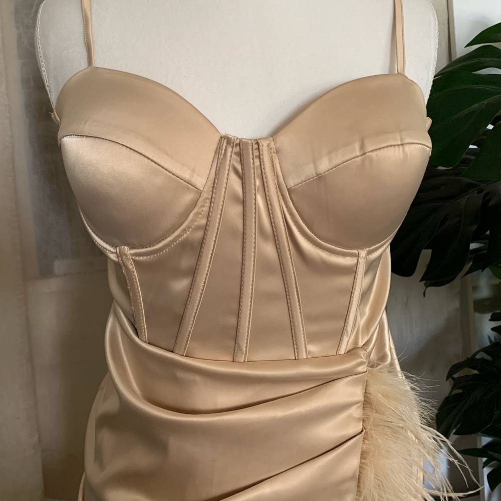 Gold Feather Trim Dress